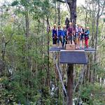 Shallotte River Swamp Park