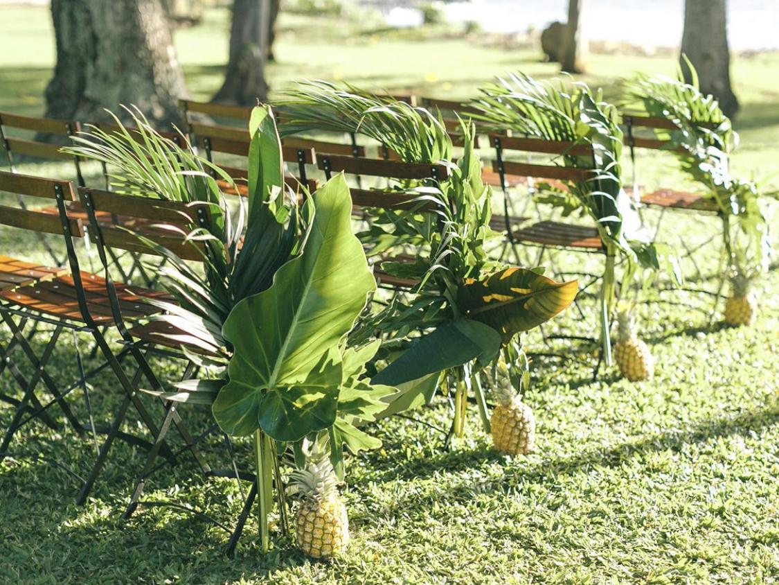 The Wedding Website of Chelsea Nile and Thomas Then