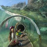 Zoo Miami