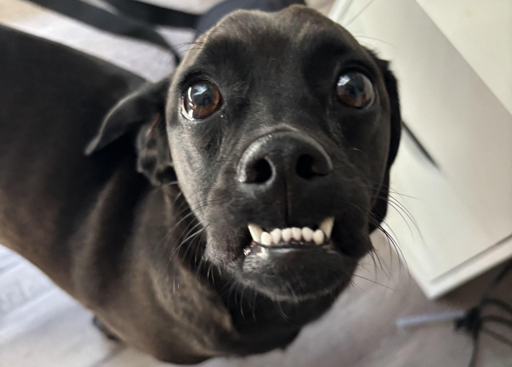 The Wedding Website of Ashley Atwater and Nolan Atwater