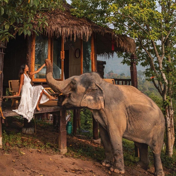 Elephant Sanctuary - Chiang Mai