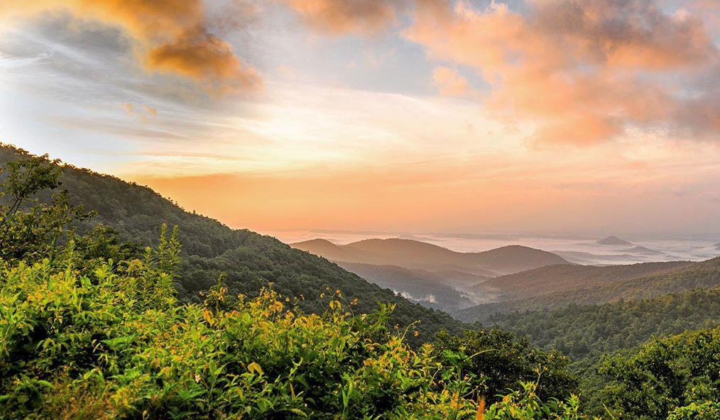 The Wedding Website of Cora Spratlin and Kyle Carrier