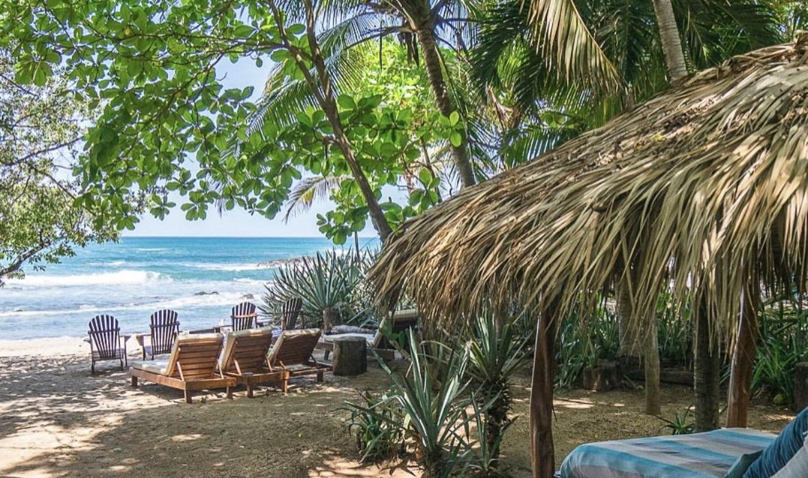 The Wedding Website of Elyse Lombardi and Alex Salzman