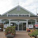 Delicious Orchards