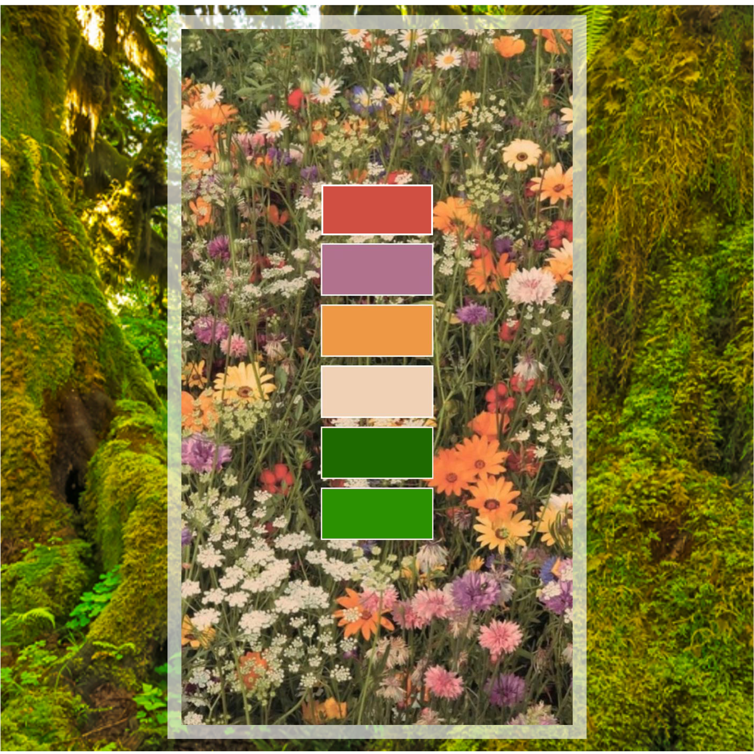 Our wedding theme is Forest Wildflowers.