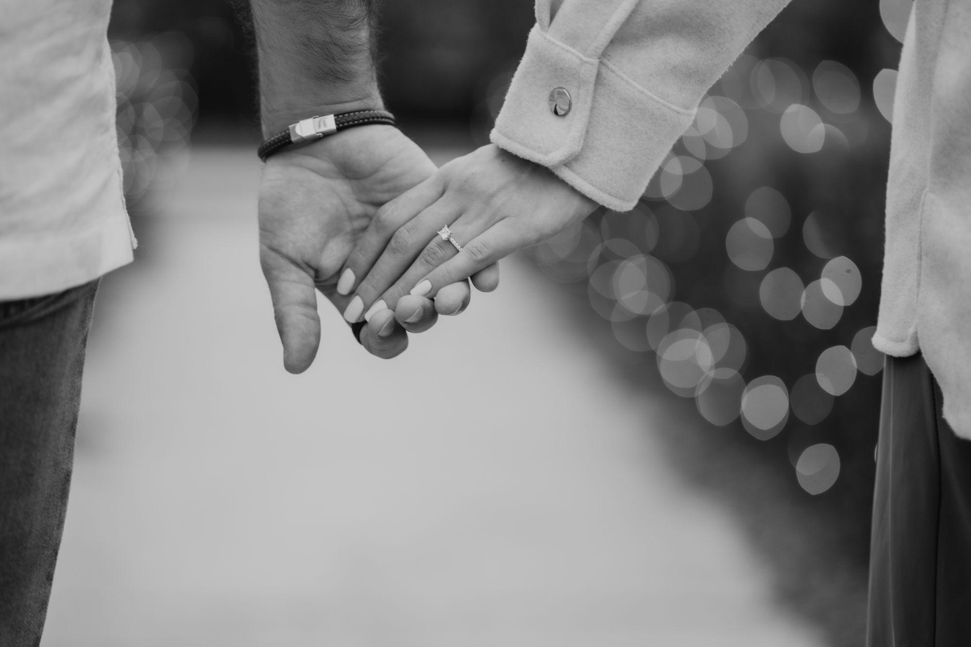 The Wedding Website of Francis Nasser and David Ramirez