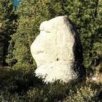Monkey Rock