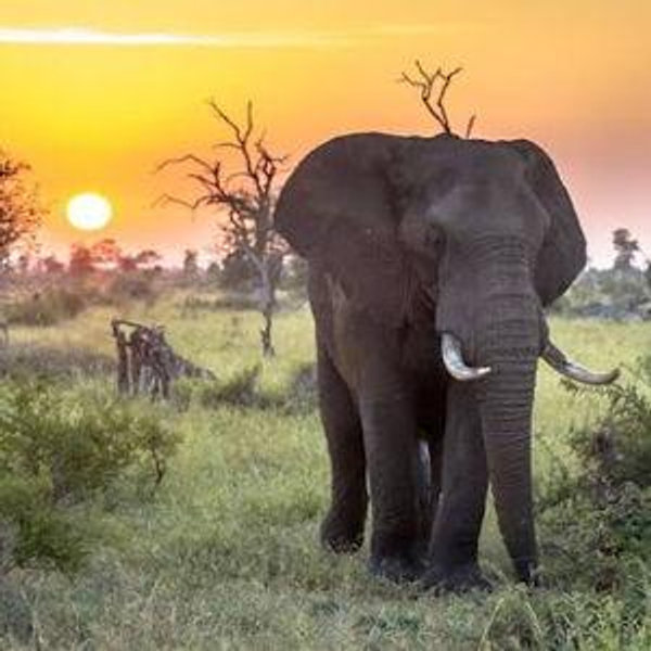 South Africa Honeymoon Fund