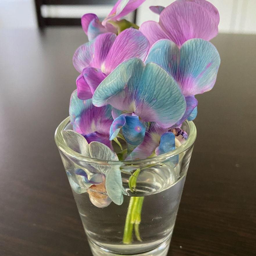 The mini bouquet of flowers in a shot glass Teddy brought to Jessie on our second date