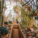 Moorten Botanical Garden