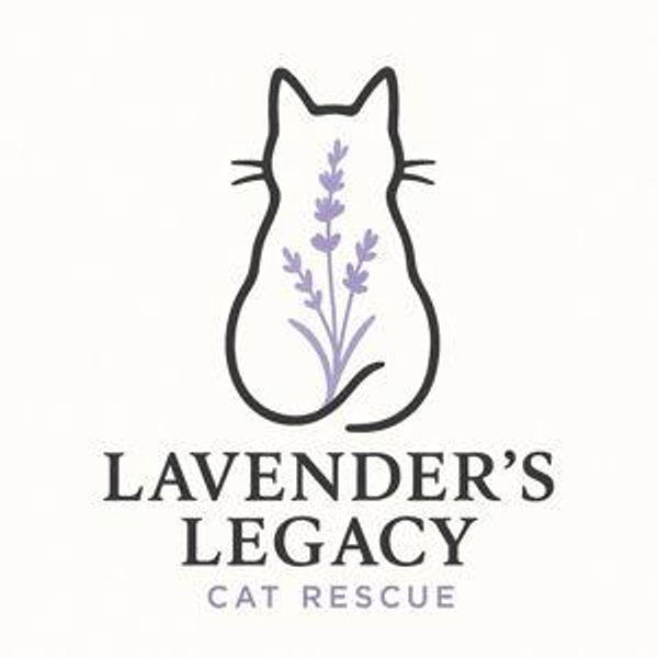 Lavender's Legacy Cat Rescue Donation