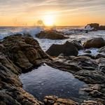 Salt Point State Park