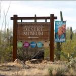Arizona-Sonora Desert Museum