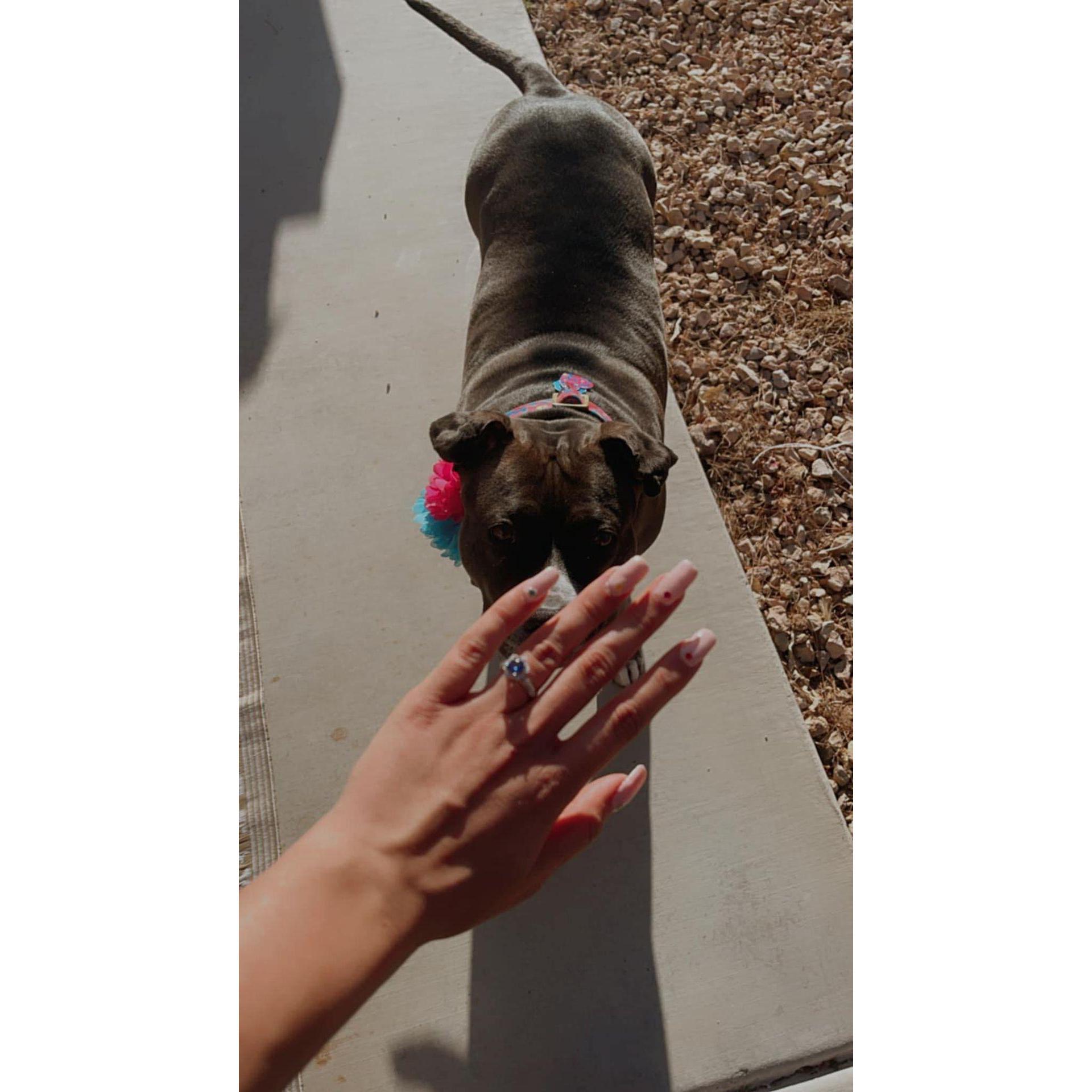 The day of our engagement; picture with Leia