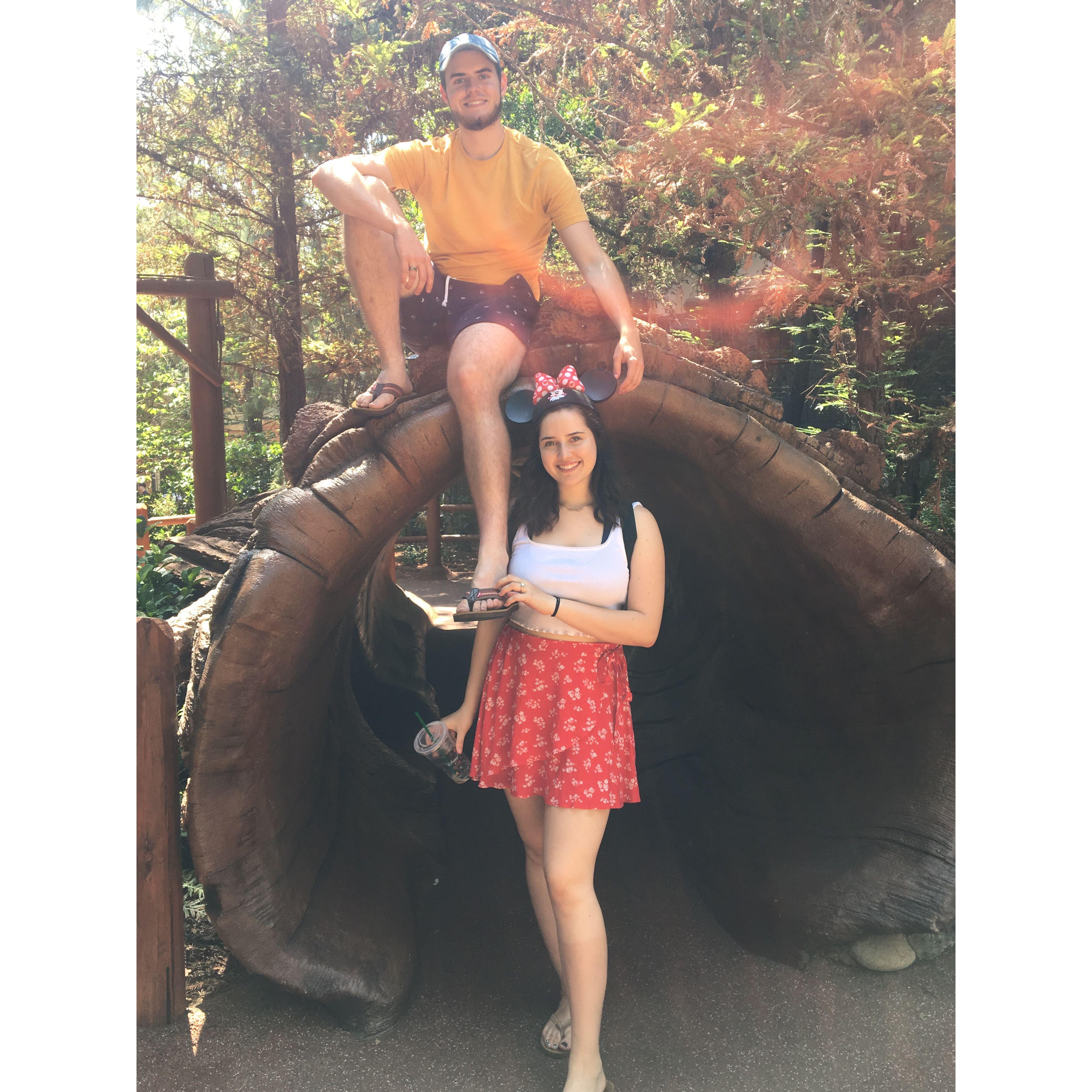 Disneyland, June 2018