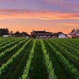 Llanerch Vineyard Hotel