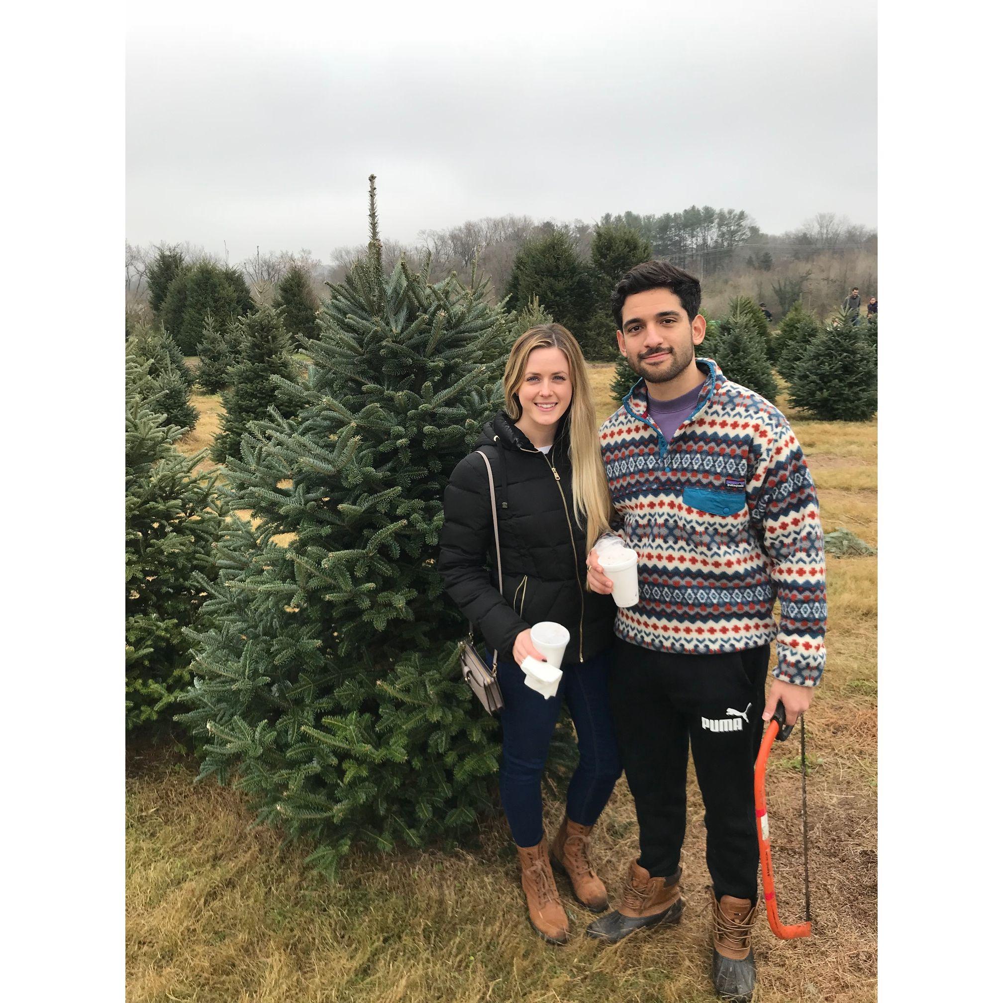 2018 Christmas tree