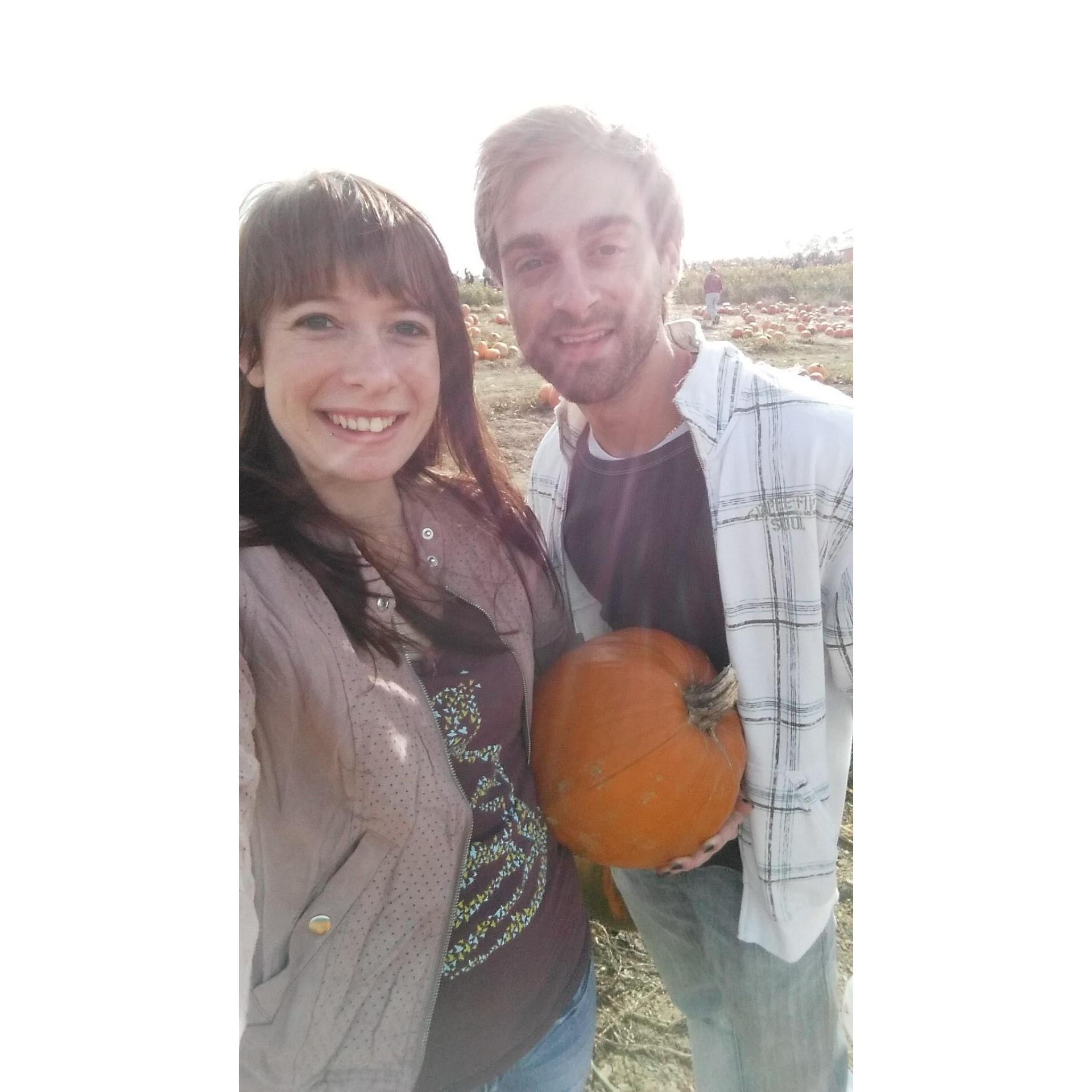 The pumpkin patch has become a tradition.