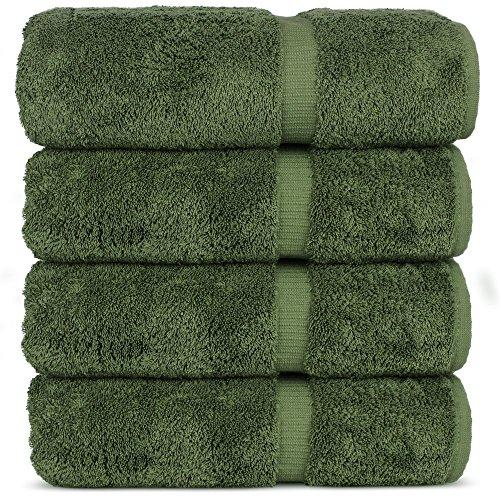 Chakir Turkish Linens Hotel & Spa Quality, Highly Absorbent 100% Turkish Cotton Bath Towels (4 Pack, Moss)