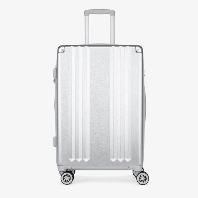 Ambeur Medium Luggage - Silver
