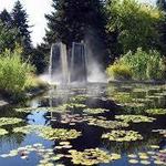 Denver Botanic Gardens