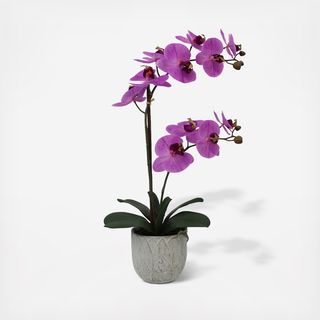 Artificial Orchid in Embossed Leaf Pot