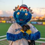 Blue Wahoos Stadium