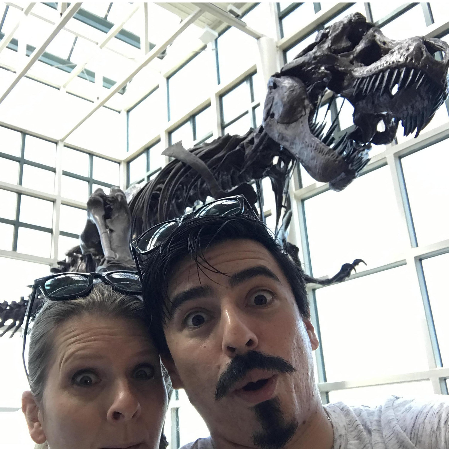 Always with the T-rex