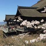 Kiyomizu-dera