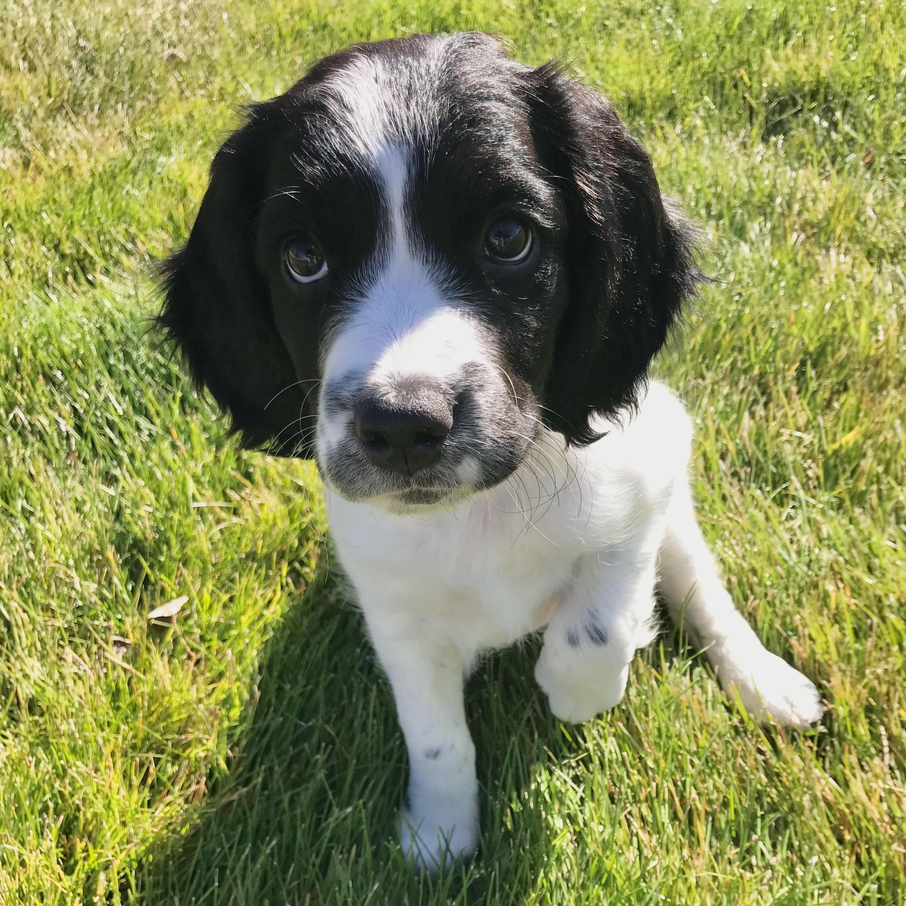 October 2022: Blue's first photo