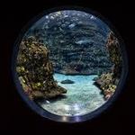North Carolina Aquarium at Fort Fisher