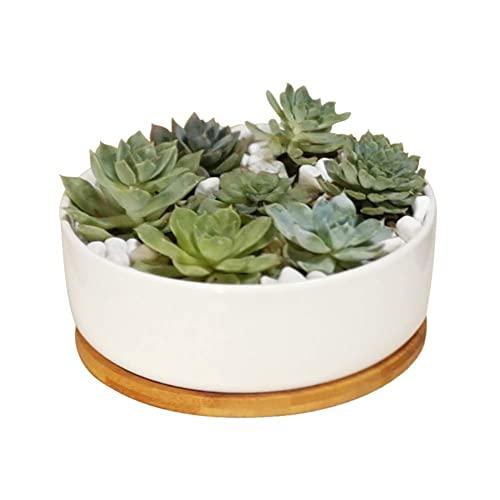 LANKER 6.3 Inch Round White Ceramic Succulent Planter Pot Decorative Cactus Plant Pot Flower Container with Bamboo Tray (Round 6.3Inch)
