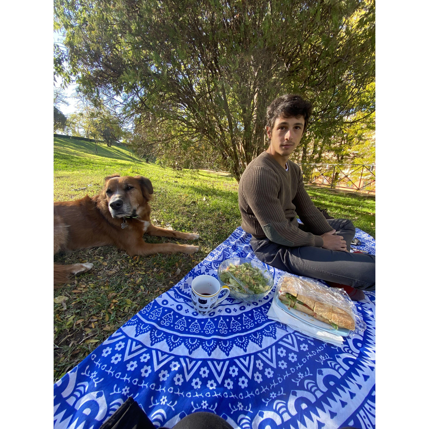 One of many picnics in the park in Madrid with Riggins. This is where Mary lived her second year in Spain, still teaching English, and Miguel was living in his hometown of Lucena, in the south of Spain, working as a firefighter. Taken in November 2021