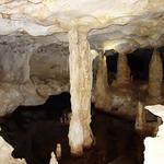 Conch Bar Caves