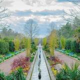Daniel Stowe Conservancy and Botanical Gardens