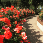Balboa Park
