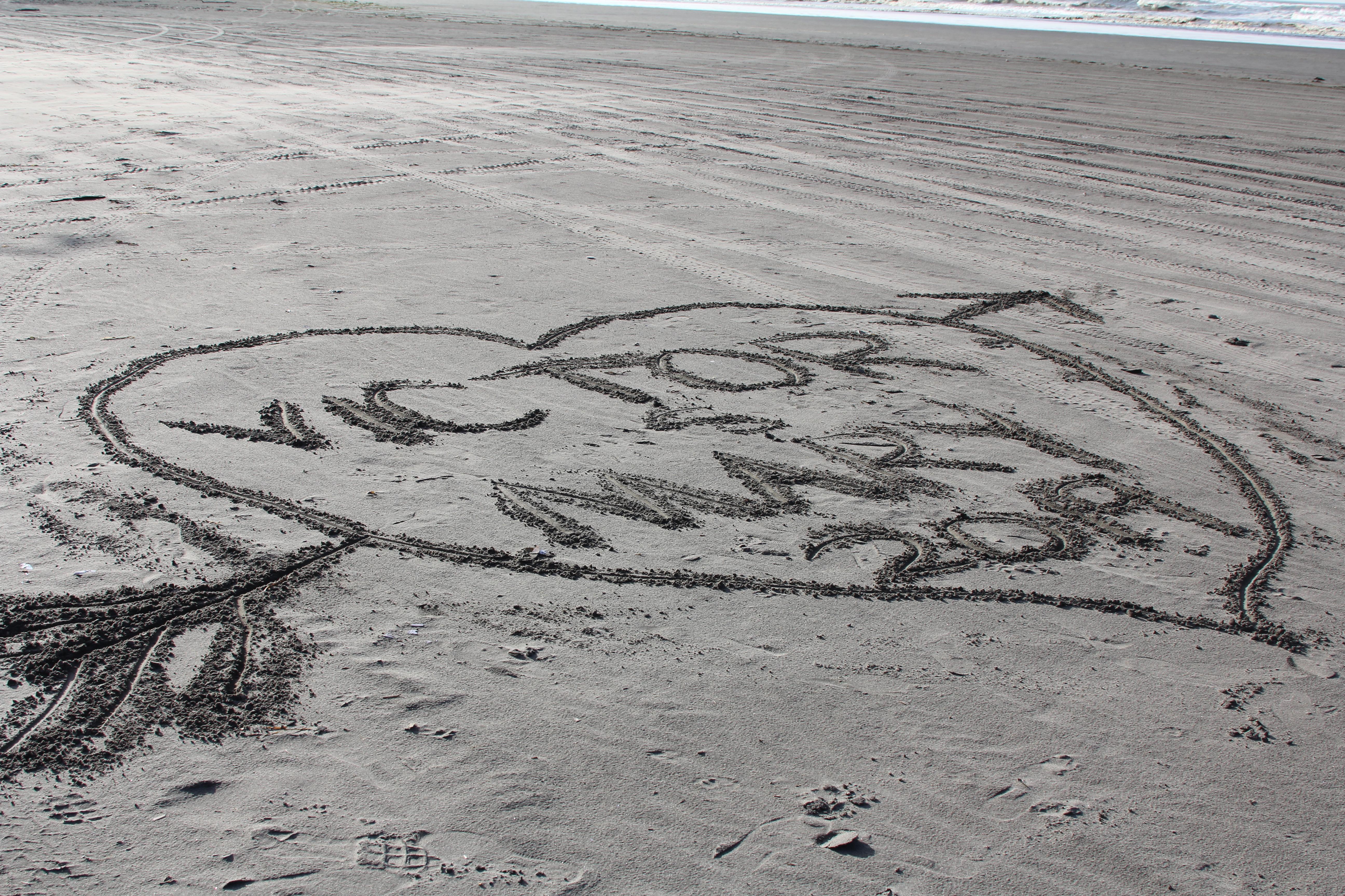 8d8c9922-54a9-42c5-ba0e-58160daeb8ab