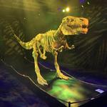 Perot Museum of Nature and Science