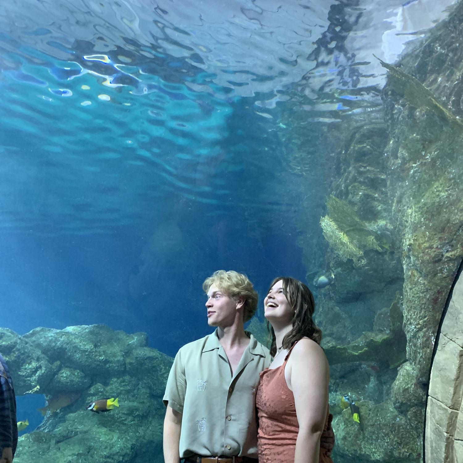 One of our last CCU formals as juniors at the Denver aquarium!