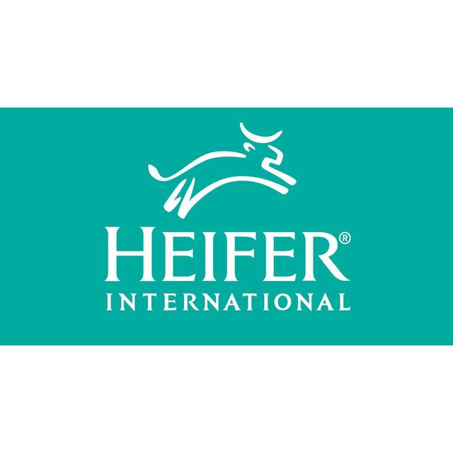 Give the gift of a heifer