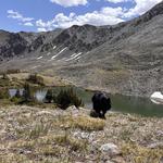 Ptarmigan Lake Trailhead