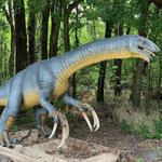 Heard Natural Science Museum & Wildlife Sanctuary