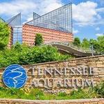 Tennessee Aquarium