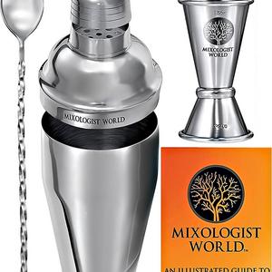 Cocktail Shaker Bar Tools - Built-in Strainer Set with Double Jigger, Mixing Spoon and Drink Recipes Booklet | Premium Bartender Kit | 24 oz Bar Accessories Perfect for a Home Bar Cart
