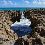 The Nature Conservancy Blowing Rocks Preserve