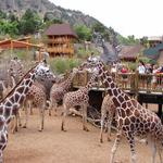 Cheyenne Mountain Zoo
