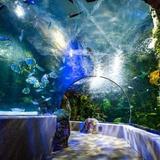 Virginia Aquarium & Marine Science Center
