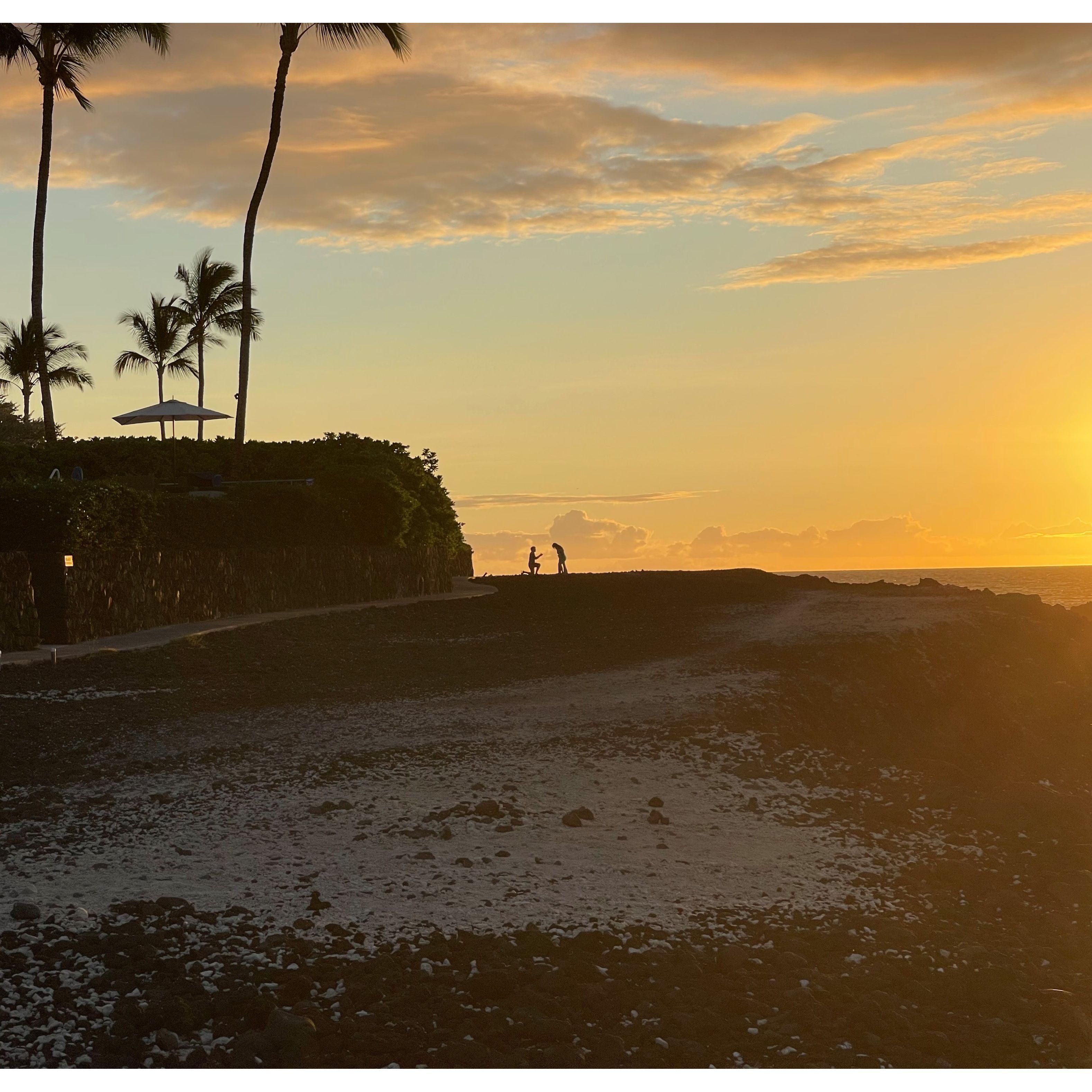 Proposal in Hawaii