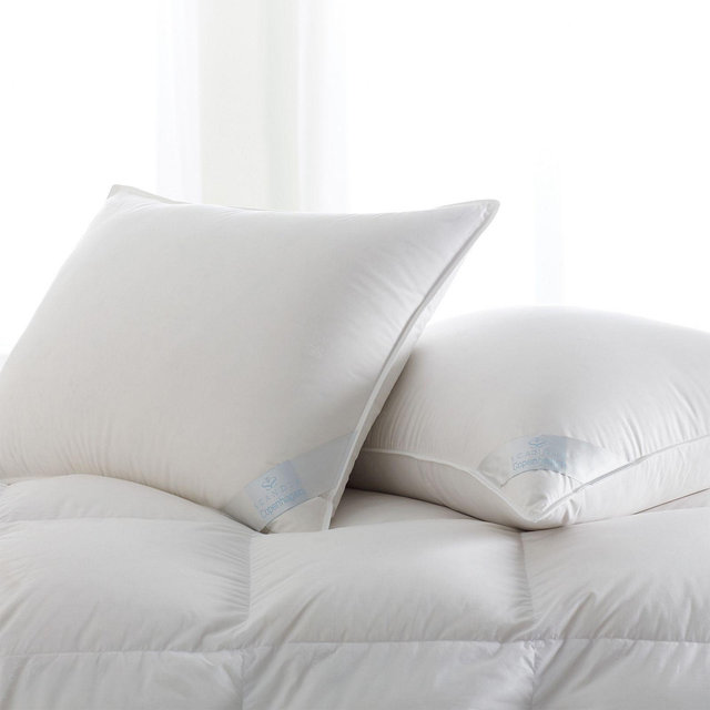 Scandia Home Copenhagen Medium Down Pillow, Queen