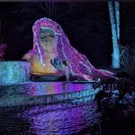 Atlanta Botanical Garden